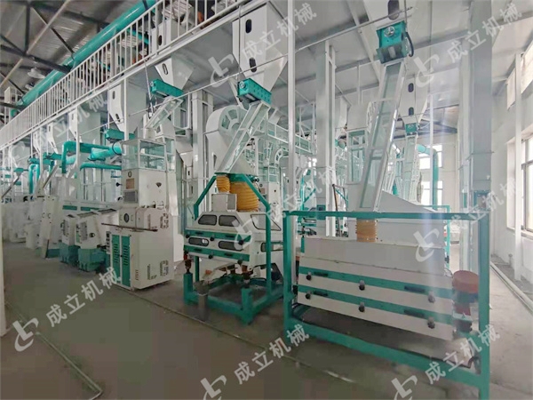 200噸大米加工設備