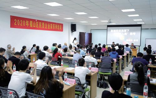 蜀山破局新生 七項經(jīng)濟指標(biāo)領(lǐng)跑合肥城區(qū)，藝術(shù)培訓(xùn)產(chǎn)業(yè)成新增長極